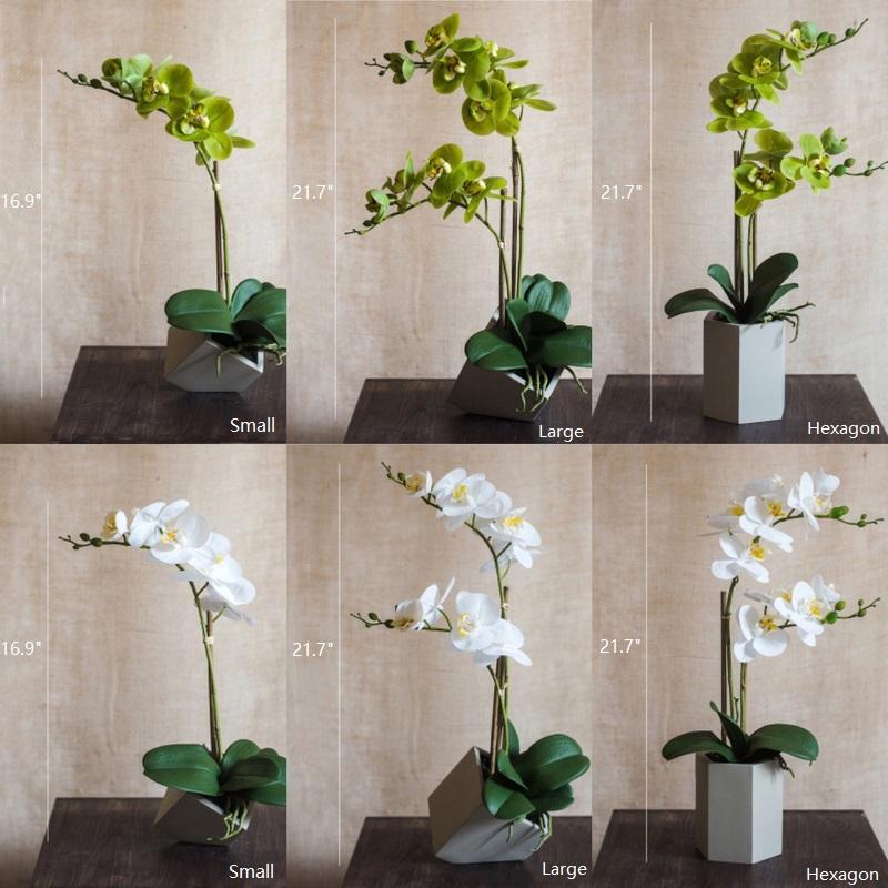 Artificial Flower Real Touch Orchid Plant in Green and White RusticReach 