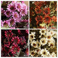 Artificial Flower Silk Chrysanthemum Stem in Various Colors 34" Tall RusticReach 