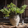 Artificial Fruit Artificial Berry Stem in Green 17" Tall - RusticReach