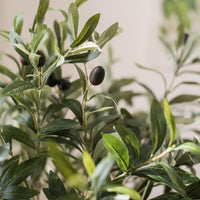 Artificial Fruit Faux Olive Stem 28" Tall RusticReach 