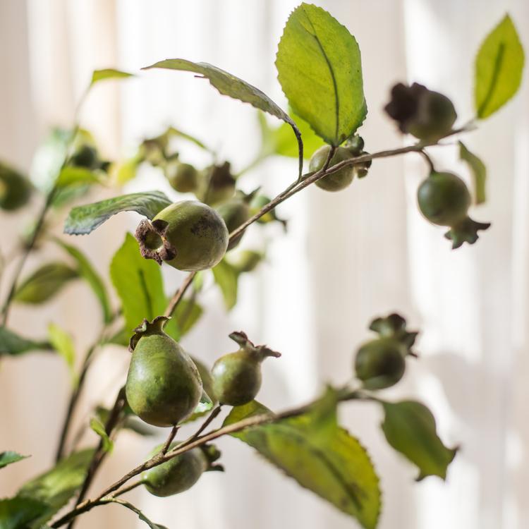 Artificial Fruit Green Papaya Stem 24" Tall Silk Plant - RusticReach