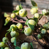 Artificial Fruit Mini Apple Stems in Green 23" Tall RusticReach 