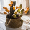 Artificial Fruit Pipa Fruit Stem 26" Tall Silk Plant - RusticReach