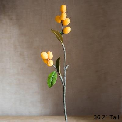Artificial Fruit Pipa Fruit Tall Stem 36" Tall RusticReach 