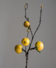 Artificial Fruit Yellow Apple Pear Stem 27" Tall - RusticReach