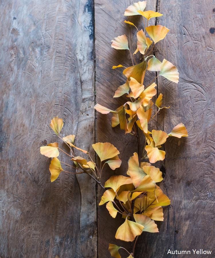 Artificial Ginkgo Stem in Yellow 37" Tall Faux - RusticReach