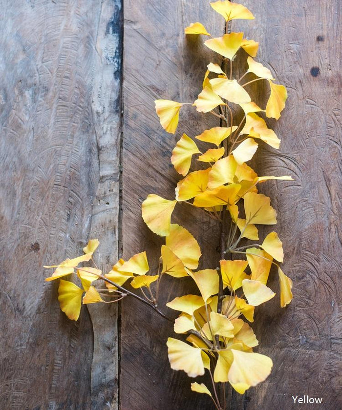 Artificial Ginkgo Stem in Yellow 37" Tall Faux RusticReach