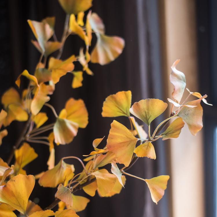 Artificial Ginkgo Leaf Stem in Yellow 37" Tall RusticReach 