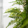 Artificial Green Leaf Fern Tree Faux - RusticReach