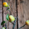 Artificial Green Persimmon Fruit Stem 31" Tall - RusticReach