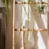 Artificial Green Weeping Willow Stem 55" Long - RusticReach