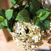 Artificial Hydrangea Leaf Stem 17" Tall - RusticReach