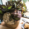 Artificial Hydrangea Leaf Stem 17" Tall - RusticReach