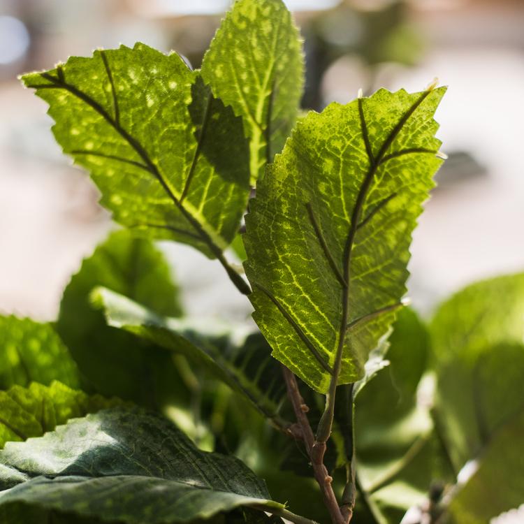 Artificial Hydrangea Leaf Stem 17" Tall - RusticReach