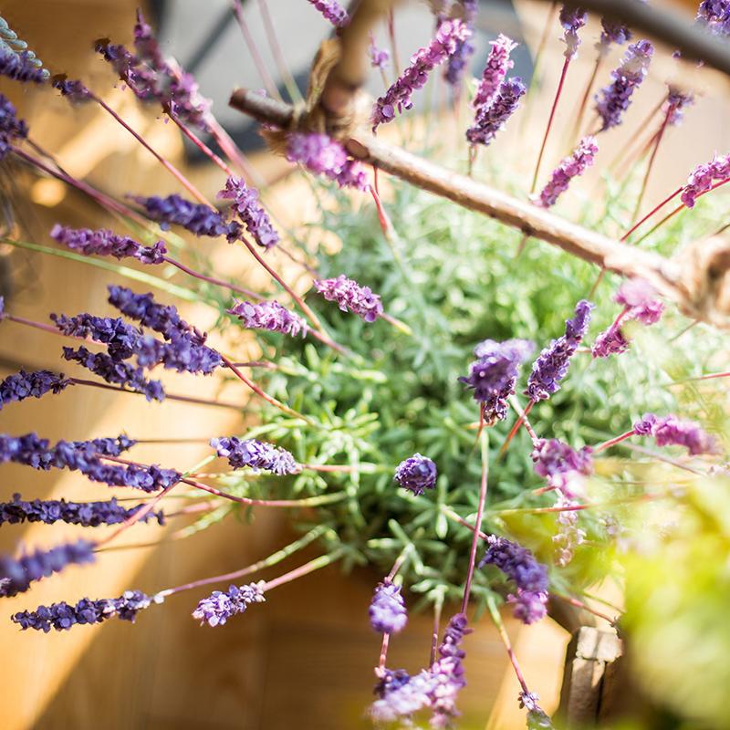 Faux Artificial Lavender Provence Lavender Stem 21" Tall Silk - RusticReach