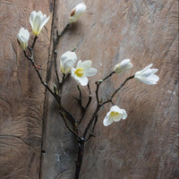 Artificial Magnolia Stem in Eco PE Foam 25" Tall RusticReach 