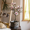 Artificial Silk Pink Magnolia Tree In Pot - RusticReach
