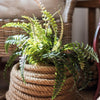 Artificial Faux Plant Big Rock Fern Stem 22" Tall - RusticReach