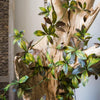 Artificial Plant Brown Green Large Leaf Vine 69" Long - RusticReach