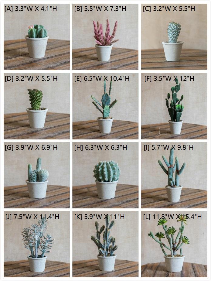 plants are purple influencer code Gift Card 30€