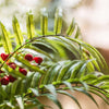 Artificial Faux Plant Chain Fern Stem 22" Tall - RusticReach