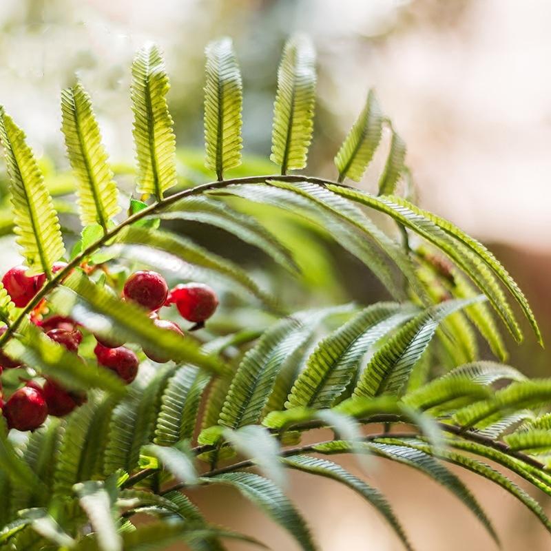 Artificial Faux Plant Chain Fern Stem 22" Tall - RusticReach