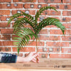 Artificial Faux Plant Chain Fern Stem 22" Tall - RusticReach