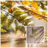 Artificial Plant Cyathea Leaf Stem 34" Tall - RusticReach