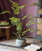 Artificial Faux Eagle Fern Bulk Plant - RusticReach