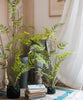 Artificial Faux Eagle Fern Bulk Plant - RusticReach