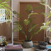 Artificial Faux Eagle Fern Bulk Plant - RusticReach
