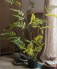 Artificial Faux Eagle Fern Bulk Plant - RusticReach