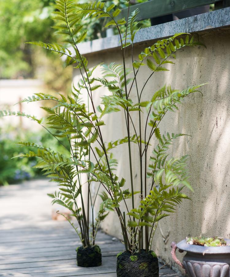 Artificial Faux Eagle Fern Bulk Plant - RusticReach
