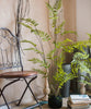 Artificial Faux Eagle Fern Bulk Plant - RusticReach