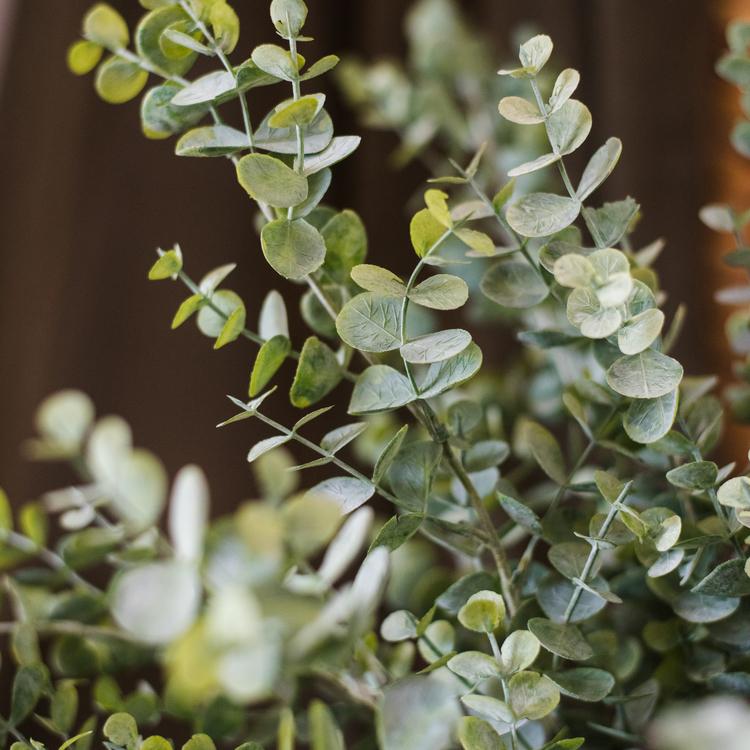 Artificial Faux Plant Eucalyptus Stem Green 26" Tall - RusticReach