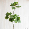 Artificial Plant Faux Bauhinia Leaf 34" Tall - RusticReach