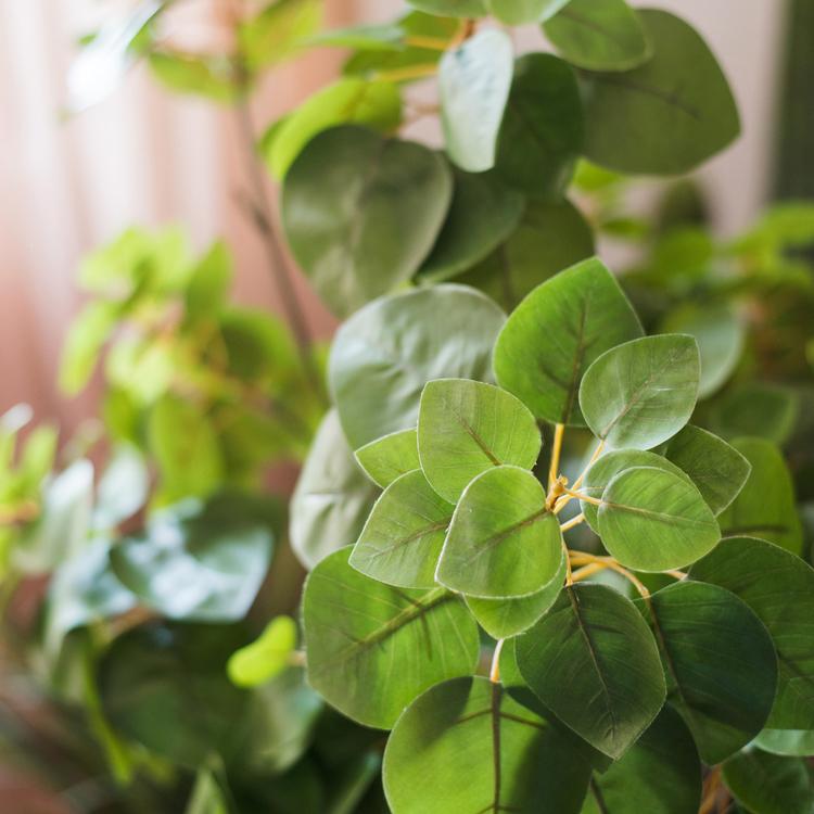 Artificial Plant Faux Bauhinia Leaf 34" Tall - RusticReach