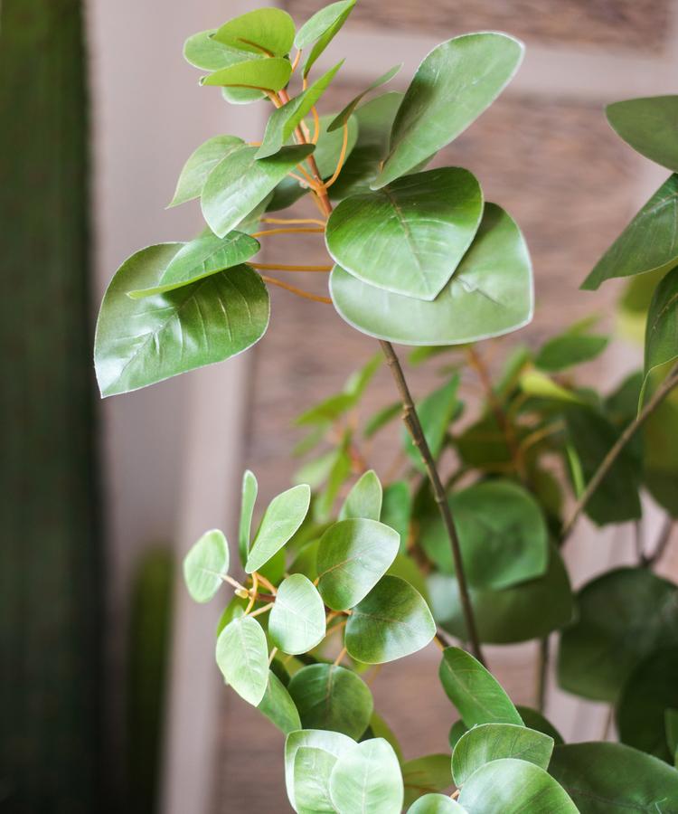 Artificial Plant Faux Bauhinia Leaf 34" Tall - RusticReach