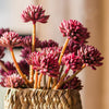 Artificial Plant Faux Succulent Stem Set in Red 13" Tall - RusticReach