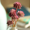 Artificial Plant Faux Succulent Stem Set in Red 13" Tall - RusticReach