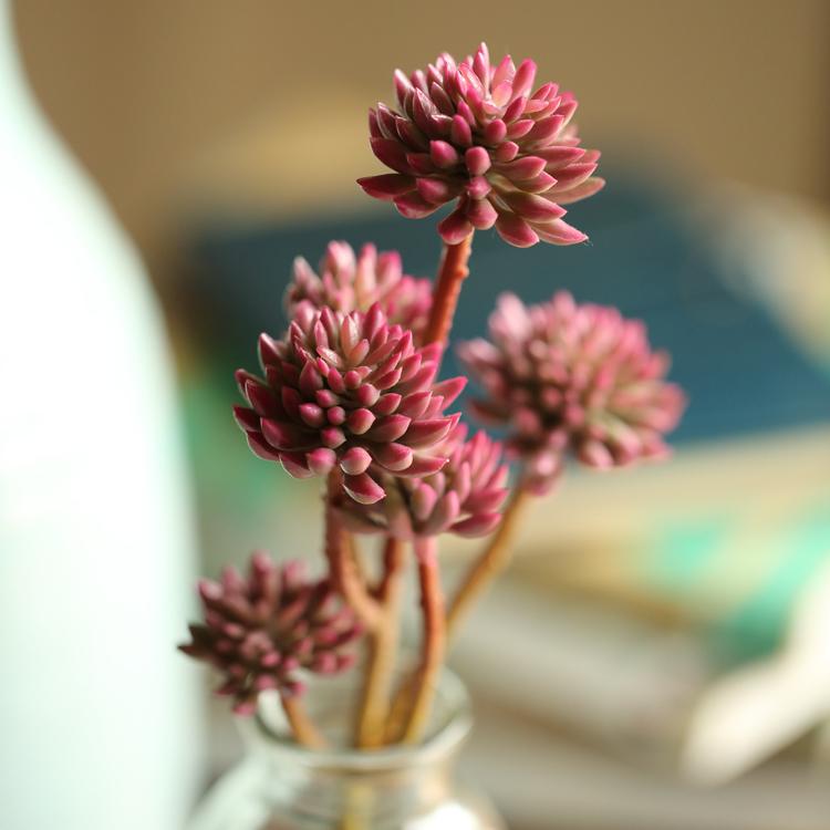 Artificial Plant Faux Succulent Stem Set in Red 13