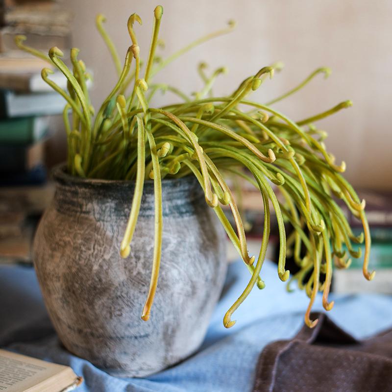 Artificial Plant Green Sarracenia Stem 12" Tall - RusticReach