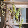 Artificial Plant Moss Rattan Stem 35" Tall - RusticReach