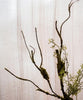 Artificial Plant Moss Rattan Stem 35" Tall - RusticReach