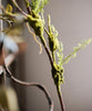 Artificial Plant Moss Rattan Stem 35" Tall - RusticReach