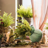 Artificial Plant Oba Fern Stem 18" Tall - RusticReach