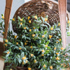 Artificial Plant Silk Small Orchid Stem Set in Yellow 13" Tall - RusticReach