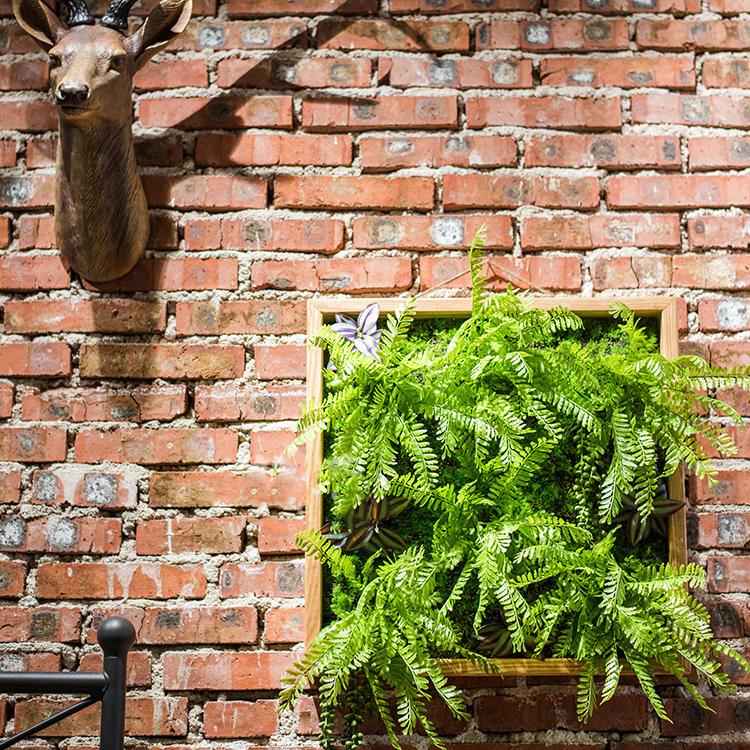 Artificial Plant Succulent Wall Art RusticReach 
