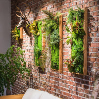 Artificial Plant Succulent Wall Art RusticReach 