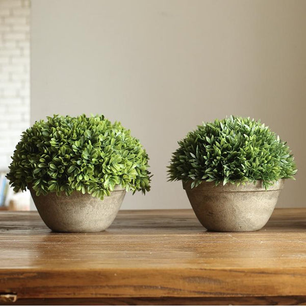 Artificial Potted Boxwood Faux Topiary RusticReach 